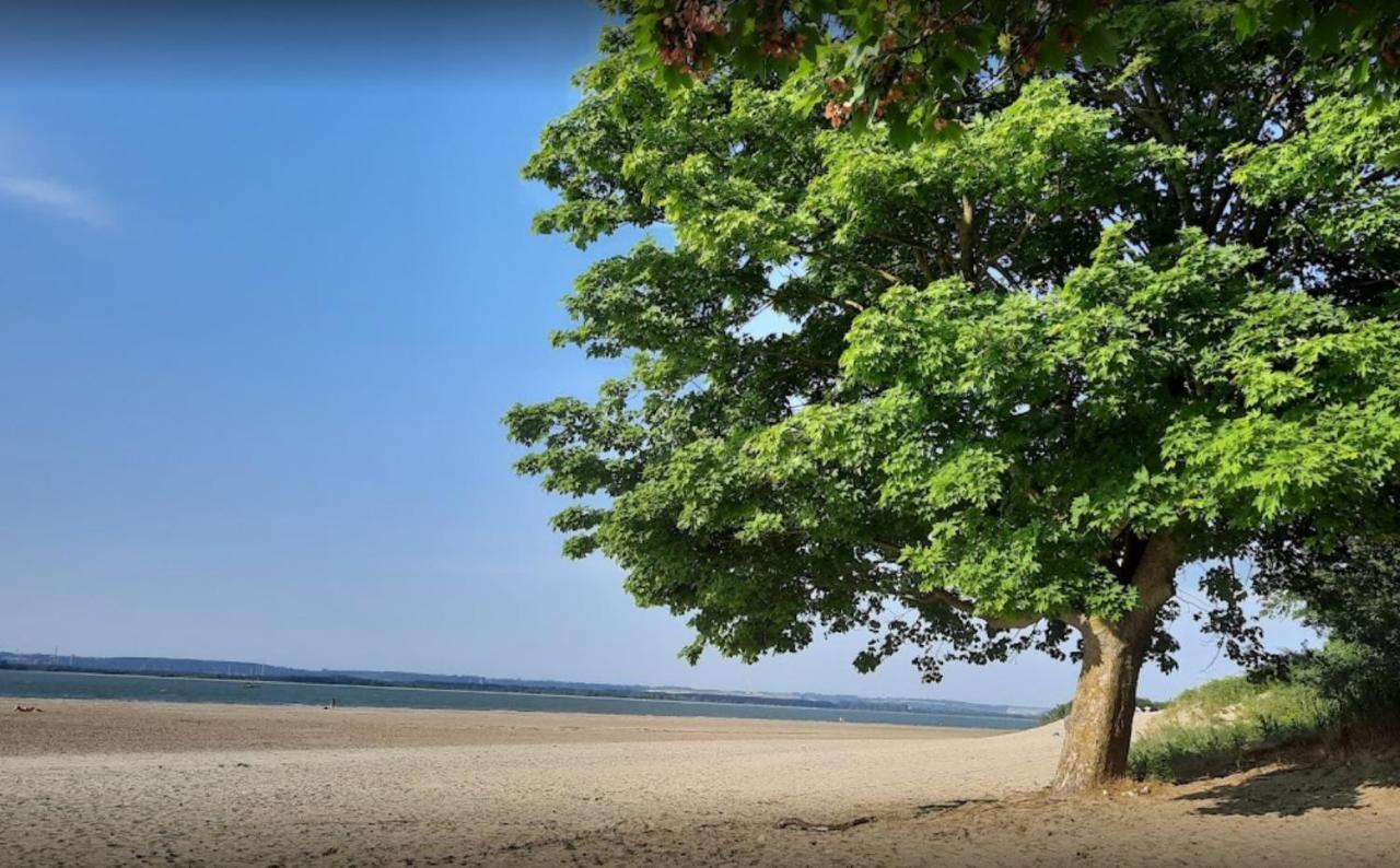 Le Cannabellas La Rivière-Saint-Sauveur Exteriér fotografie